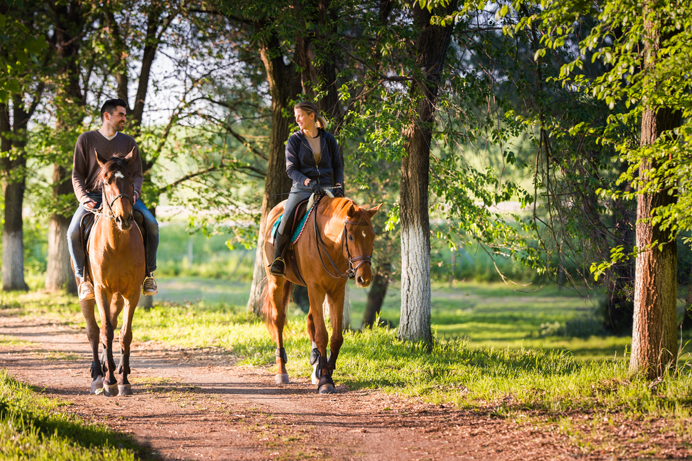 Experiencing Equine Therapy for Addiction Treatment
