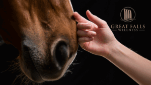 equine therapy for drug addiction,