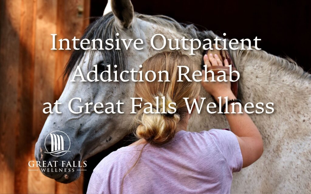 intensive outpatient addiction rehab, great falls wellness, top rehabs near dc, best rehab northern virginia, drug and alcohol therapy near me
Intensive Outpatient Addiction Rehab