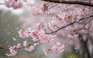 sober spring activities dc, sober activities washington dc, sober activities near me, fun sober activities dc, sober date ideas dc, sober things to do in dc, sober activities for adults, sober activities with friends, spring activities washington dc, cherry blossom activities dc, alcohol free activities dc, sober outdoor activities dc, fun sober activities near me, sober weekend activities dc, sober social activities dc